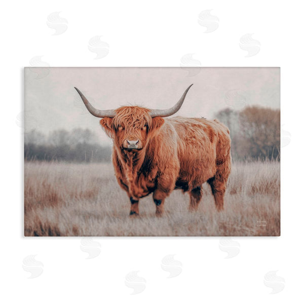 stupell industries Nathan Larson | Center Of Attention Cattle