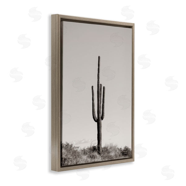 Stupell Industries Nathan Larson | Clear Afternoon Cactus