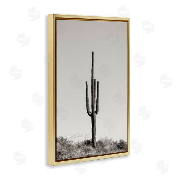 Stupell Industries Nathan Larson | Clear Afternoon Cactus
