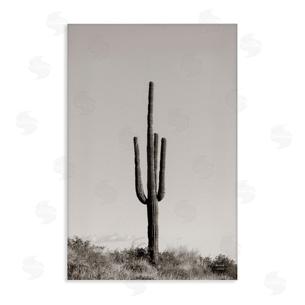 stupell industries Nathan Larson | Clear Afternoon Cactus
