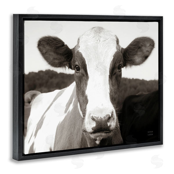 Stupell Industries Nathan Larson | Cow Portrait Farm Landscape Wall Art