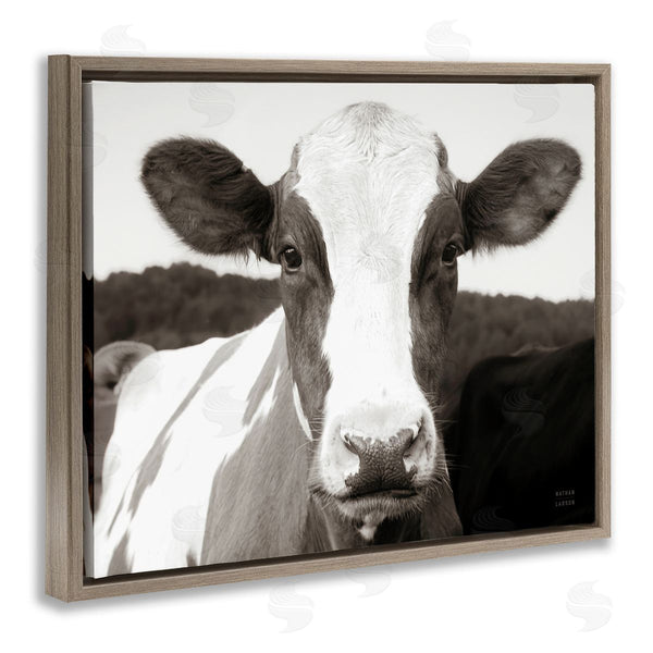 Stupell Industries Nathan Larson | Cow Portrait Farm Landscape Wall Art