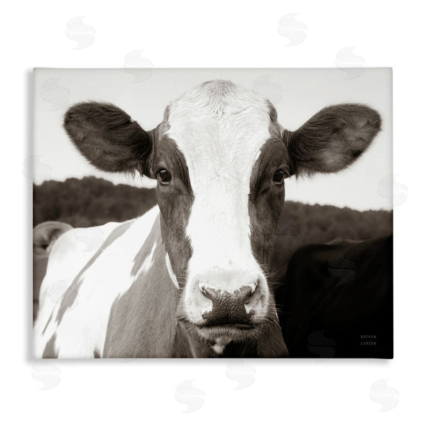 stupell industries Nathan Larson | Cow Portrait Farm Landscape Wall Art