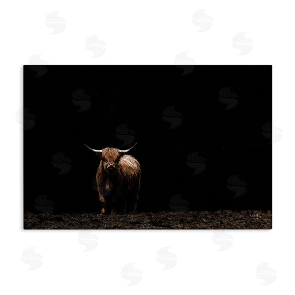 stupell industries Nathan Larson | Dark Contrast Highland Cow
