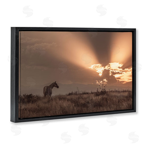 Stupell Industries Nathan Larson | Faded Sunset With Horse Wall Art