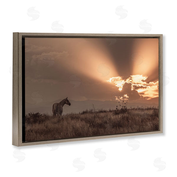 Stupell Industries Nathan Larson | Faded Sunset With Horse Wall Art