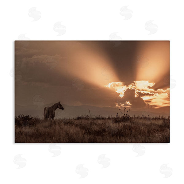 stupell industries Nathan Larson | Faded Sunset with Horse Wall Art