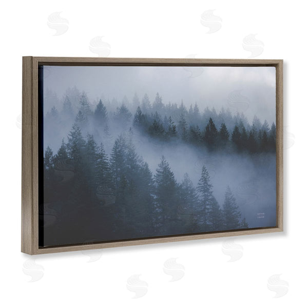 Stupell Industries Nathan Larson | Fog Filled Trees Landscape