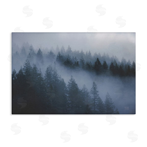 stupell industries Nathan Larson | Fog Filled Trees Landscape