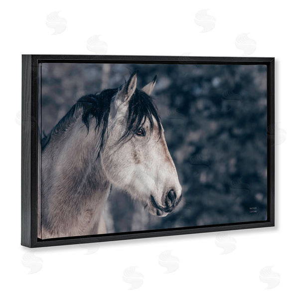 Stupell Industries Nathan Larson | Intense Gaze Stallion Wall Art