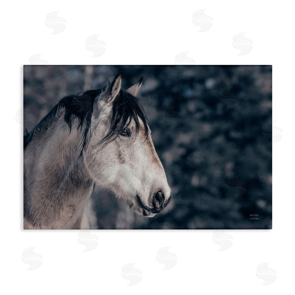 stupell industries Nathan Larson | Intense Gaze Stallion Wall Art