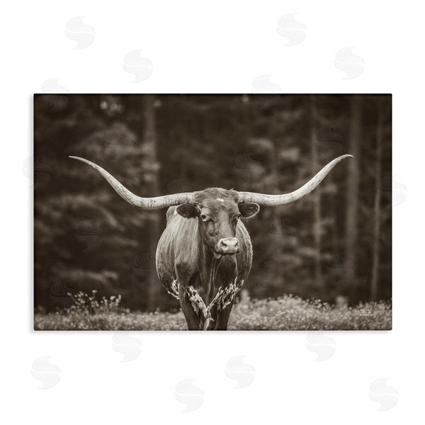 stupell industries Nathan Larson | Longhorn Among Flowers