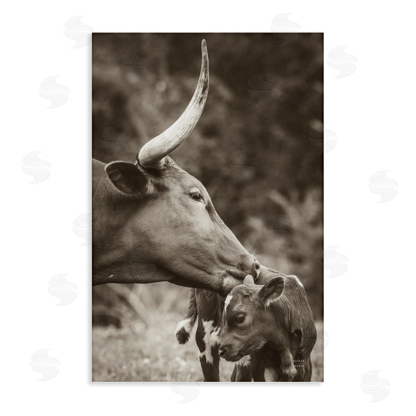 stupell industries Nathan Larson | Longhorn Kissing Baby