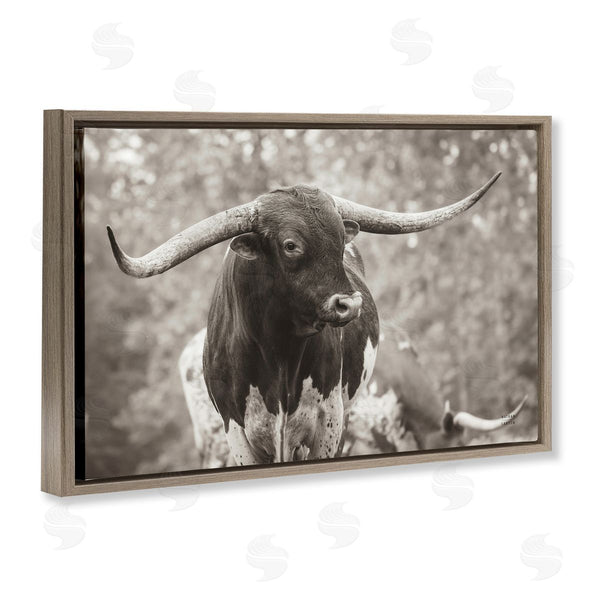 Stupell Industries Nathan Larson | Longhorn's Gaze Photography Wall Art