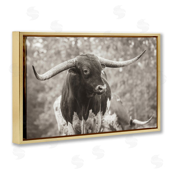 Stupell Industries Nathan Larson | Longhorn's Gaze Photography Wall Art