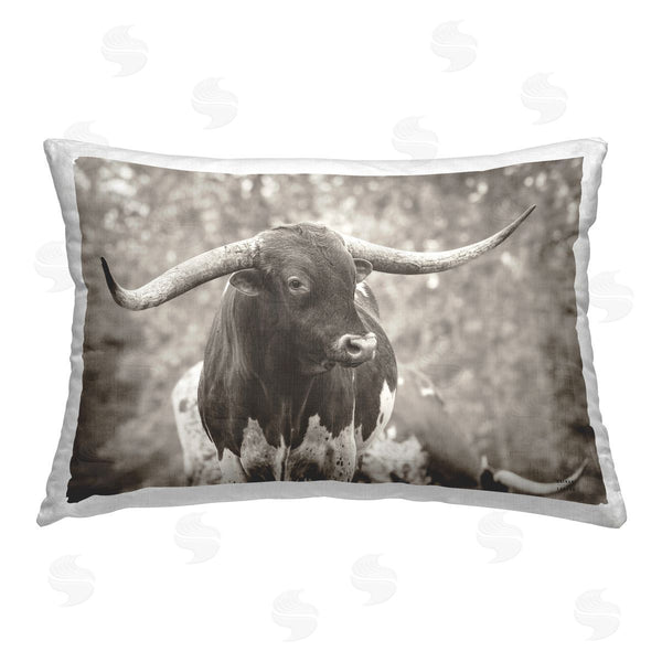 stupell industries Nathan Larson | Longhorn's Gaze Photography