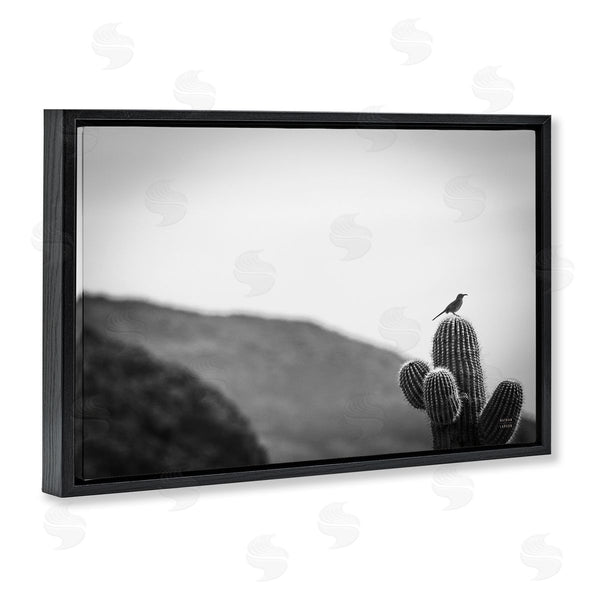 Stupell Industries Nathan Larson | On Guard Bird & Cactus Wall Art