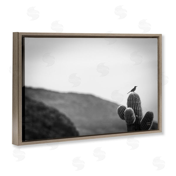 Stupell Industries Nathan Larson | On Guard Bird & Cactus Wall Art