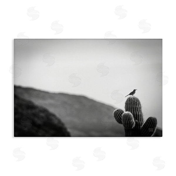 stupell industries Nathan Larson | On Guard Bird & Cactus Wall Art