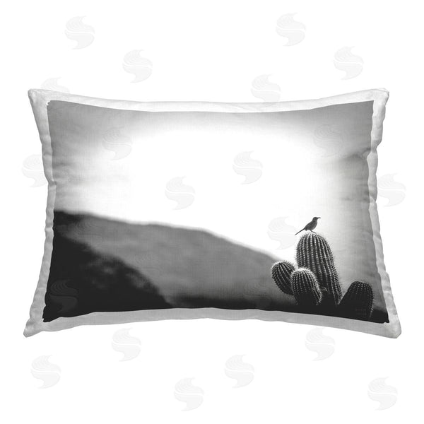 stupell industries Nathan Larson | On Guard Bird & Cactus