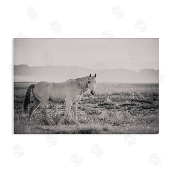 stupell industries Nathan Larson | Quiet Atmosphere with Horse