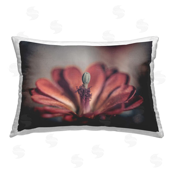 stupell industries Nathan Larson | Red Elevation Bloom