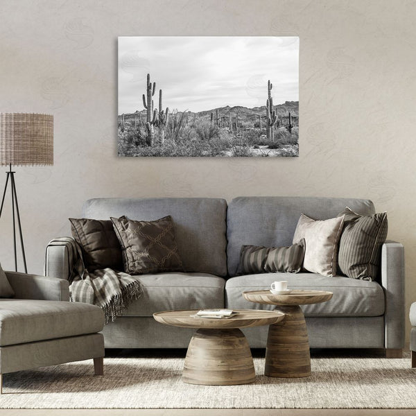 Stupell Industries Nathan Larson | Sonoran Desert Wonderland Wall Art