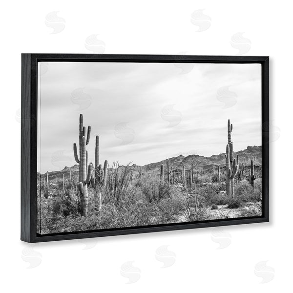 Stupell Industries Nathan Larson | Sonoran Desert Wonderland Wall Art