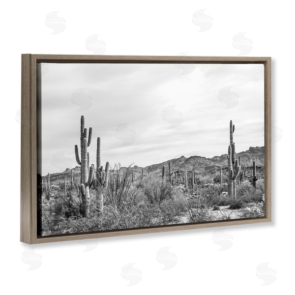 Stupell Industries Nathan Larson | Sonoran Desert Wonderland Wall Art