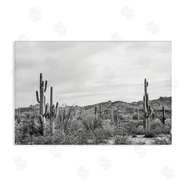 stupell industries Nathan Larson | Sonoran Desert Wonderland Wall Art