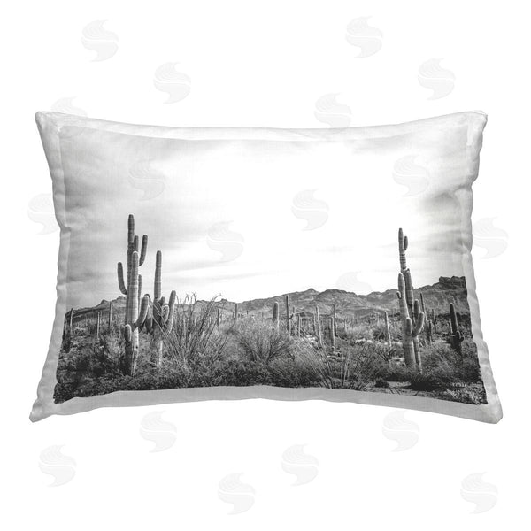 stupell industries Nathan Larson | Sonoran Desert Wonderland