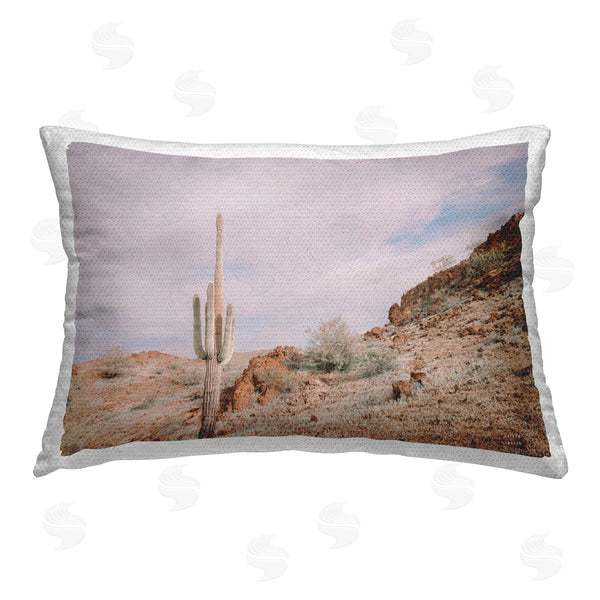 Stupell Industries Nathan Larson | The Climb Desertscape