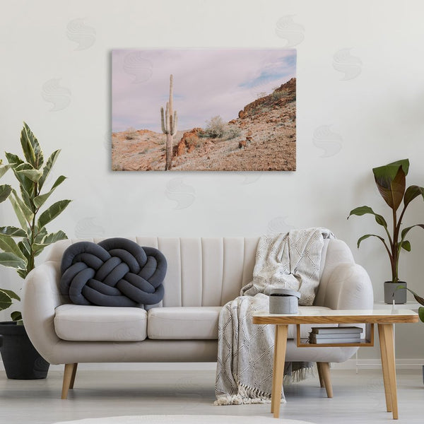 Stupell Industries Nathan Larson | The Climb Desertscape Wall Art