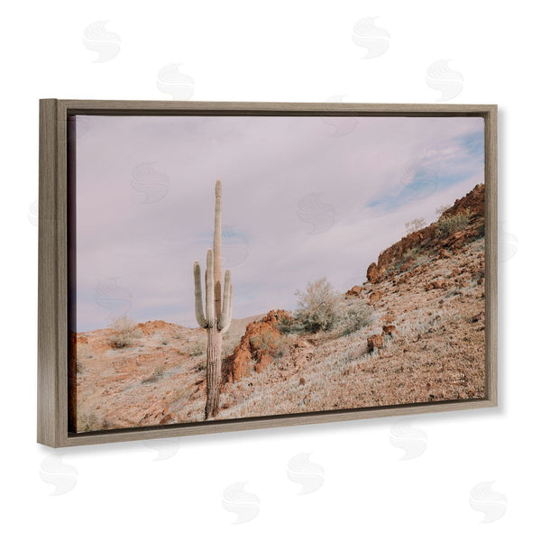 Stupell Industries Nathan Larson | The Climb Desertscape Wall Art