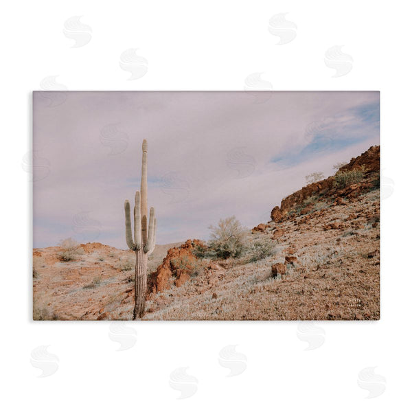 stupell industries Nathan Larson | The Climb Desertscape Wall Art
