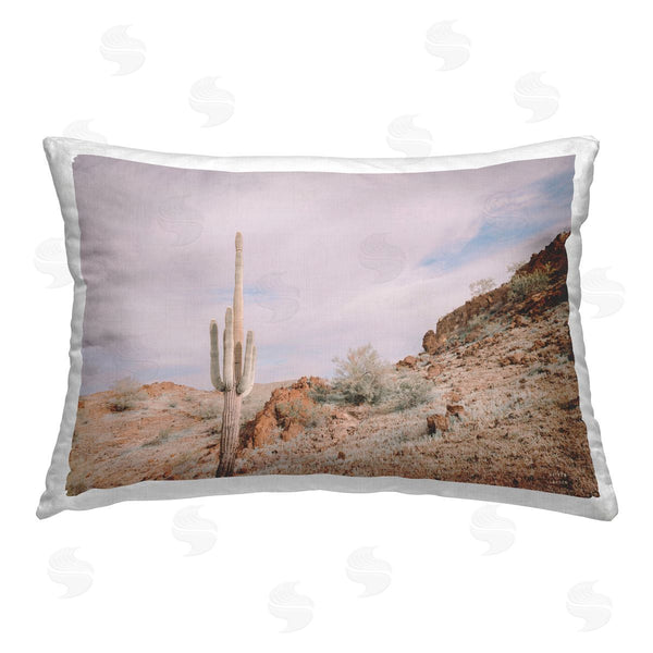 stupell industries Nathan Larson | The Climb Desertscape