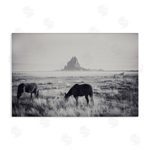 stupell industries Nathan Larson | Western Range with Horses