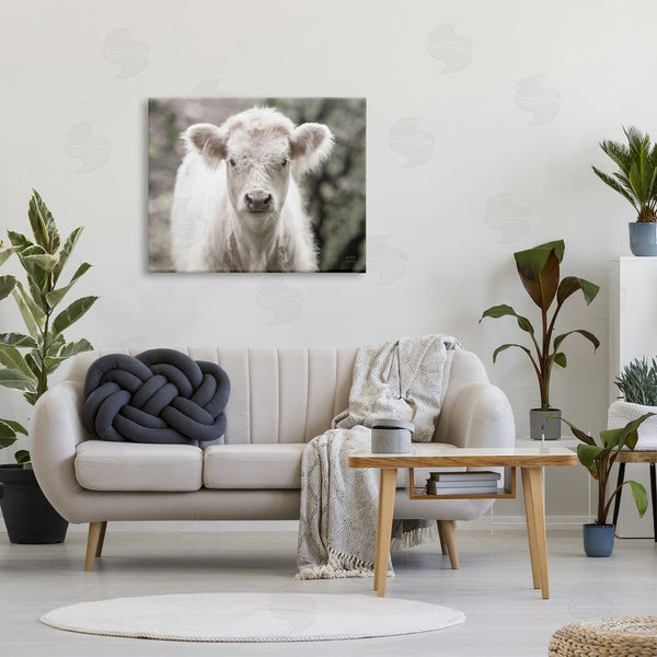Stupell Industries Nathan Larson | White Cow Calf Portrait Wall Art