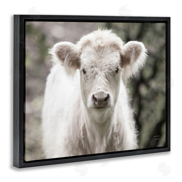 Stupell Industries Nathan Larson | White Cow Calf Portrait Wall Art