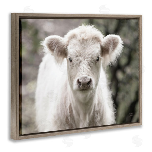 Stupell Industries Nathan Larson | White Cow Calf Portrait Wall Art