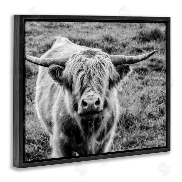 Stupell Industries Nathan Larson | Wild Country Cattle Portrait Black And White Photography Wall Art