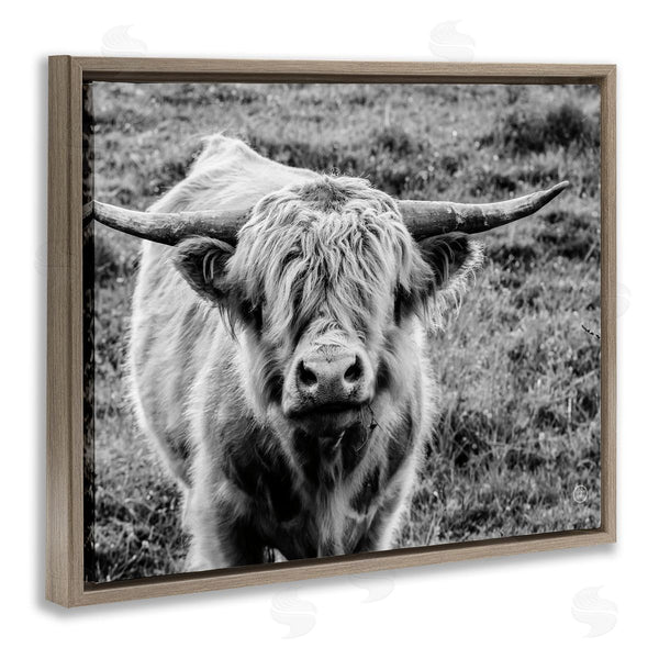 Stupell Industries Nathan Larson | Wild Country Cattle Portrait Black And White Photography Wall Art