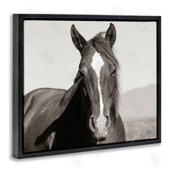 Stupell Industries Nathan Larson | Windblown Stallion Portrait Wall Art