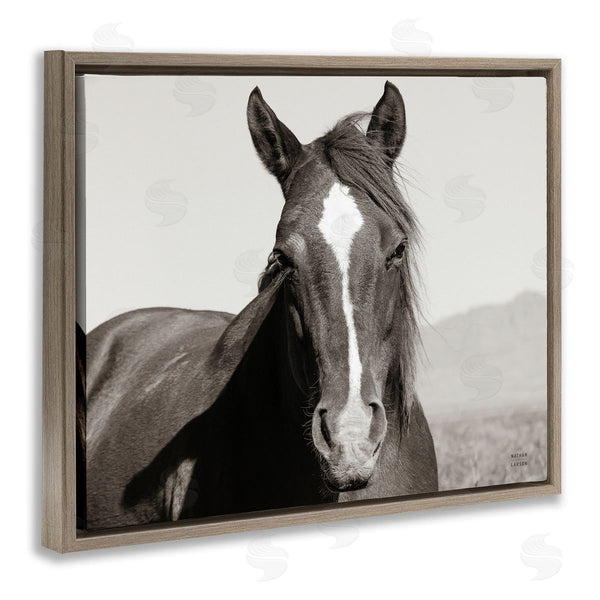 Stupell Industries Nathan Larson | Windblown Stallion Portrait Wall Art