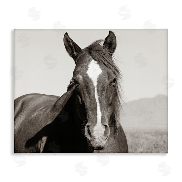 stupell industries Nathan Larson | Windblown Stallion Portrait Wall Art