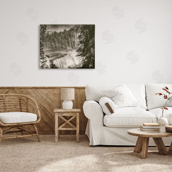Stupell Industries Nathan Larson | Woodland Waterfall Photography Wall Art