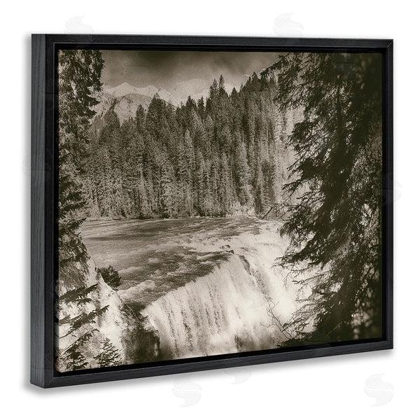 Stupell Industries Nathan Larson | Woodland Waterfall Photography Wall Art