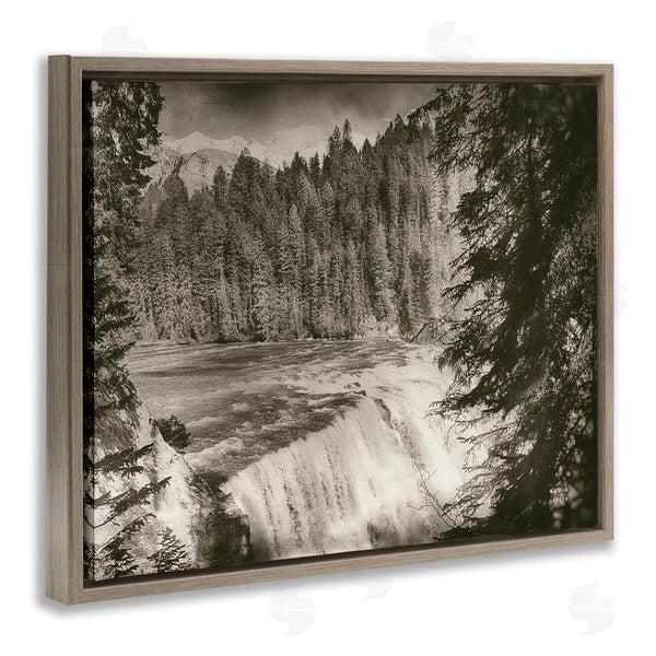 Stupell Industries Nathan Larson | Woodland Waterfall Photography Wall Art
