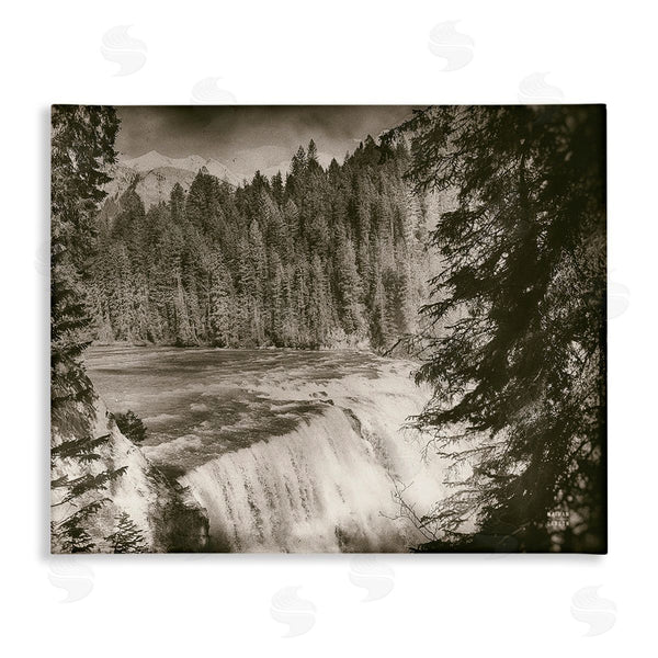 stupell industries Nathan Larson | Woodland Waterfall Photography Wall Art
