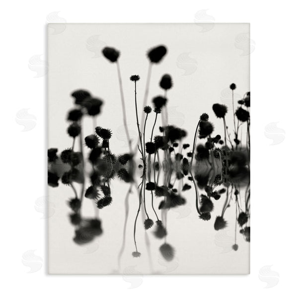 stupell industries Nicholas Bell | Abstract Botanical Sprigs